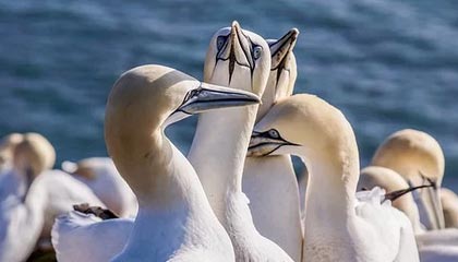 “九游app_ 2000年总决赛经典瞬间，再次引爆回忆”，2000年游戏排行榜前十名