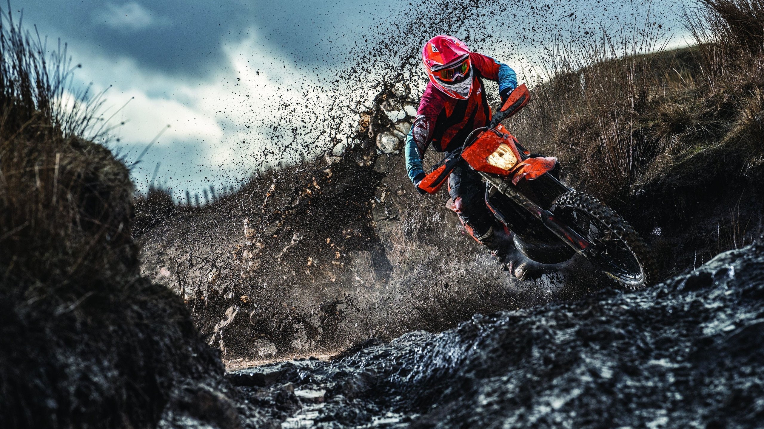 《电竞赛事的全场流媒体直播:极致视听盛宴》,电竞即时